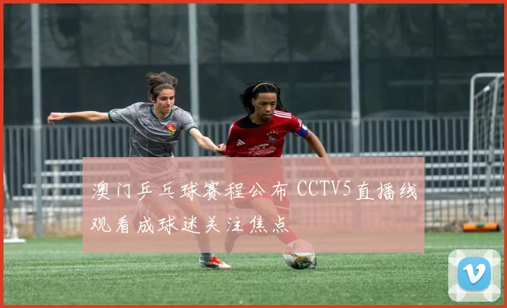 澳门乒乓球赛程公布 CCTV5直播线观看成球迷关注焦点