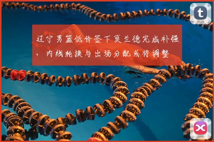 辽宁男篮低价签下莫兰德完成补强，内线轮换与出场分配或将调整