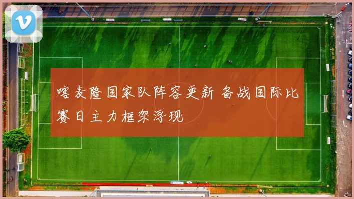 喀麦隆国家队阵容更新 备战国际比赛日主力框架浮现